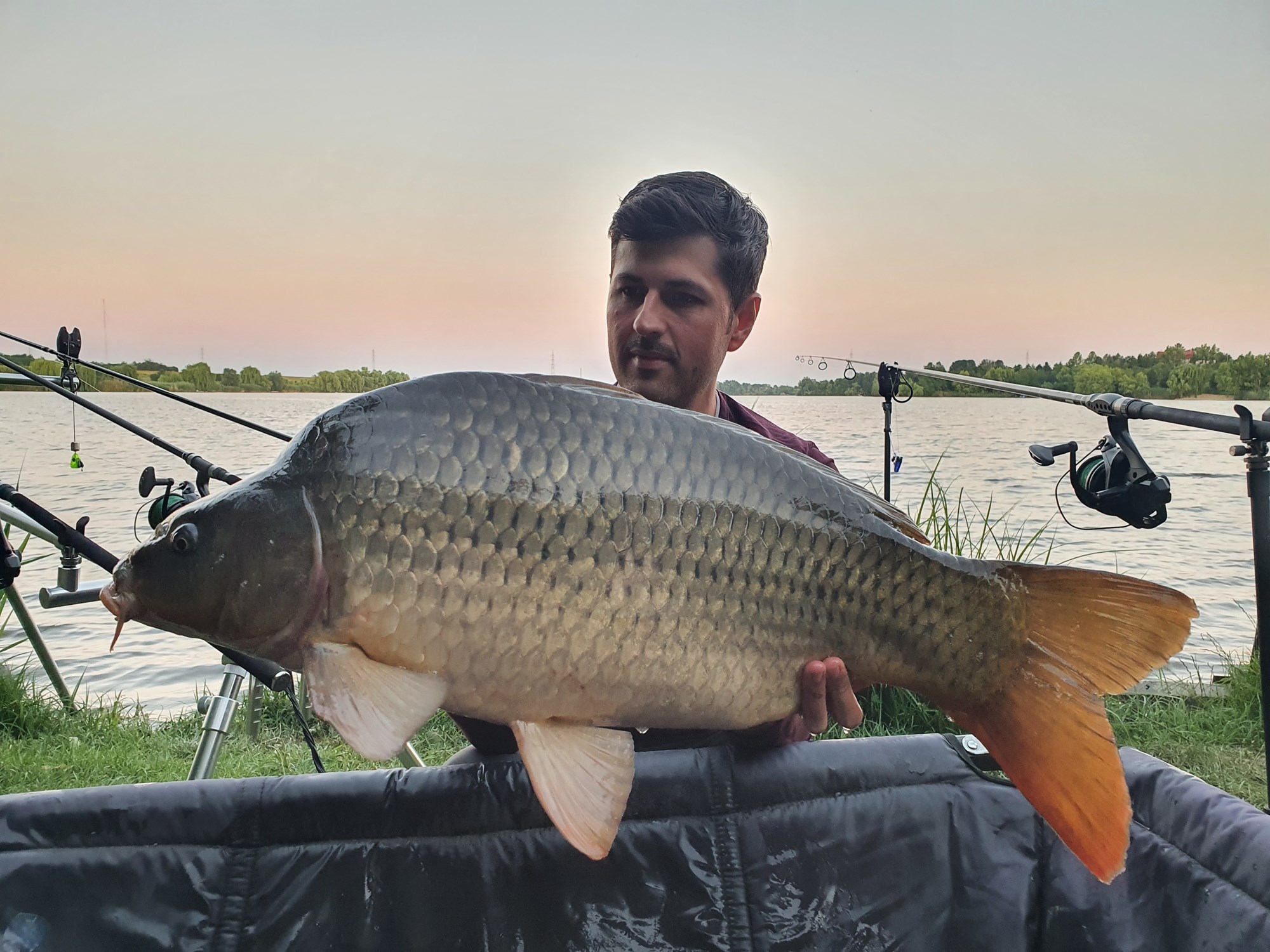 Tancabesti 9 - 12 iulie 2020 - 9 kg